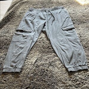 Banana Republic Women’s Light Gray Cargo Jogger Pants